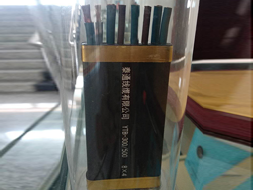 special cable